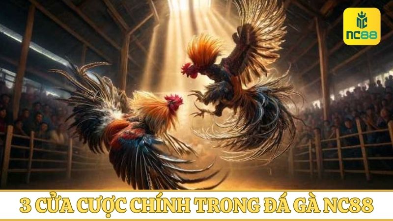 Chốt kèo cược đá gà vô cùng xanh chín khi chơi cùng NC88