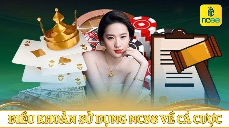 Điều khoản sử dụng khi cá cược tại NC88